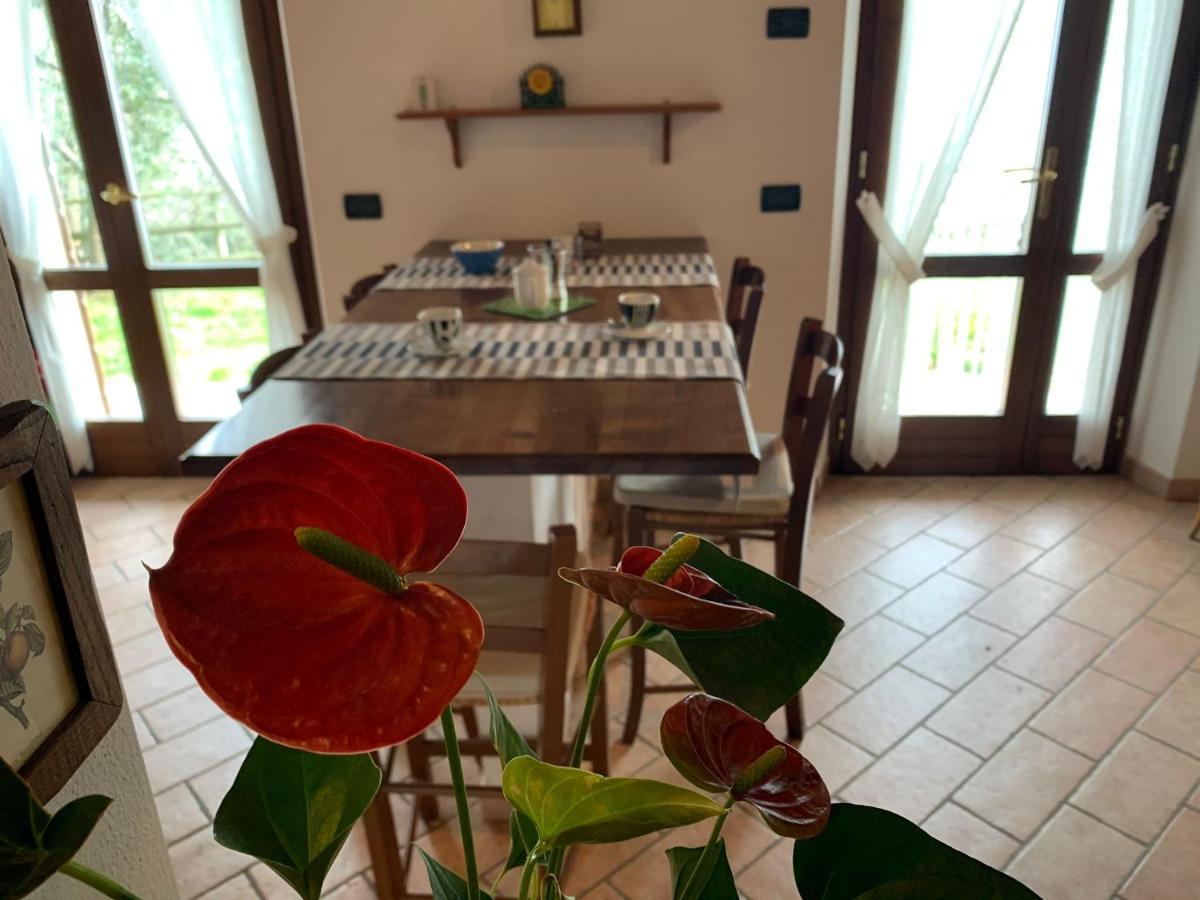 Villa Panorama Gargnano Bagian luar foto